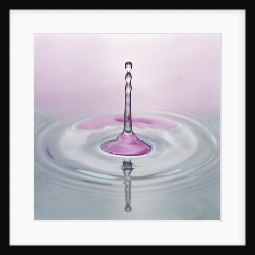 Water Droplet and Ripples by Anonymous