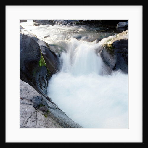 Rapids Churning River by Anonymous