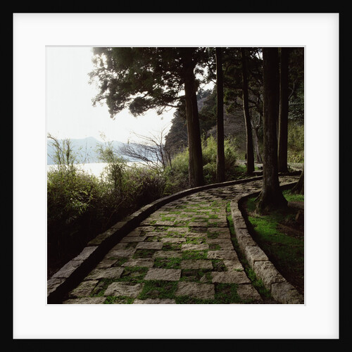 A stone footpath by Anonymous