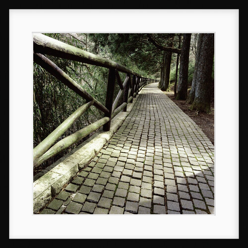 A footpath and barrier by Anonymous