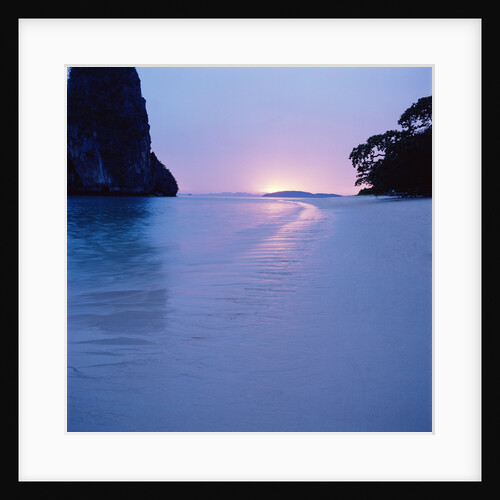 Tropical Beach by Anonymous