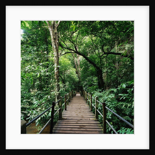 Wooden Bridge Thailand by Anonymous
