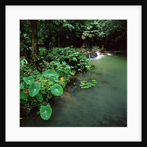 Waterfall Thailand by Anonymous