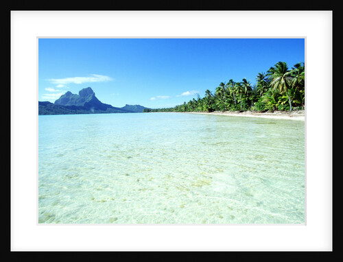 Tropical Waters by Anonymous