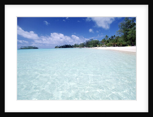 Tropical Beach by Anonymous