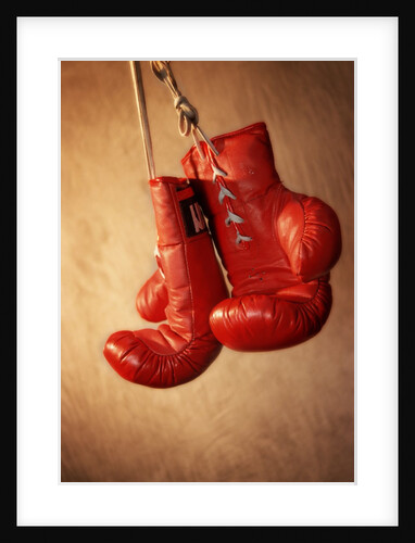 Red Boxing Gloves by Anonymous
