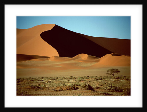 Sand Dune by Anonymous