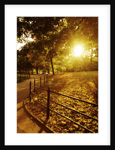 Sunrise in Central Park by Anonymous