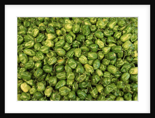 Habanero Chilies at the Central Market by Anonymous
