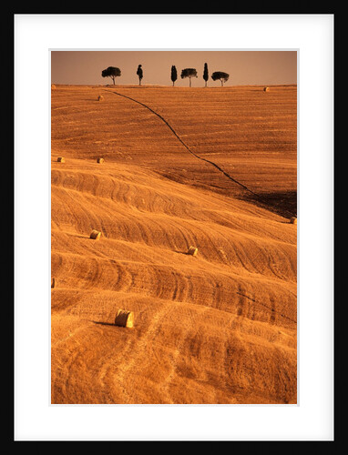 Bales in Rolling Fields by Anonymous