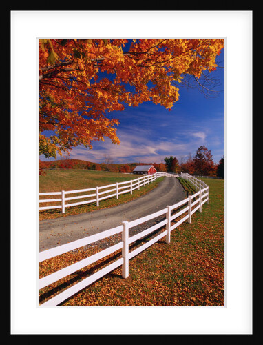 White Wooden Fence Along Farm by Anonymous