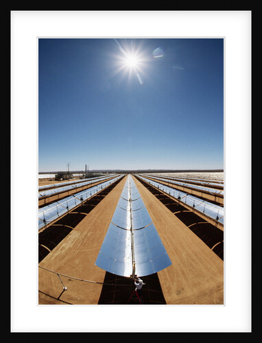 Technician at Solar Power Plant by Anonymous