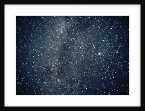 Halley's Comet in the Southern Sky by Anonymous