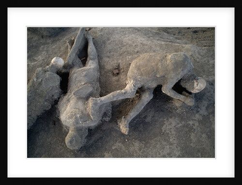 Bodies in Pompeii by Anonymous
