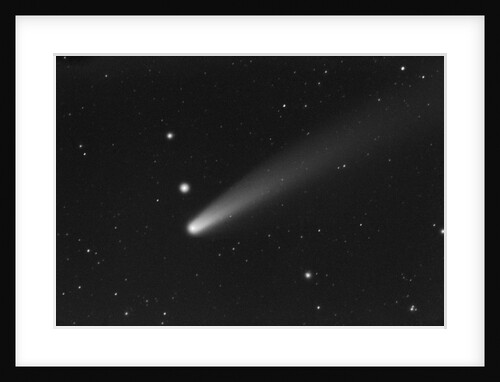 Comet Bennett by Anonymous