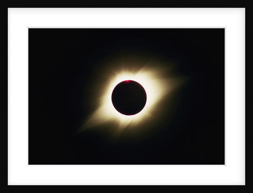 Solar Corona During Total Eclipse by Anonymous