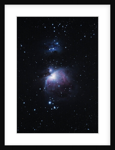 The Orion Nebula by Anonymous