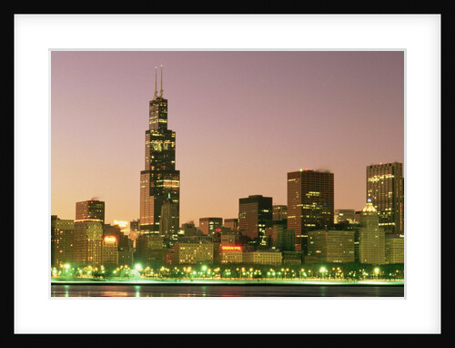 Sears Tower and Chicago Skyline by Anonymous