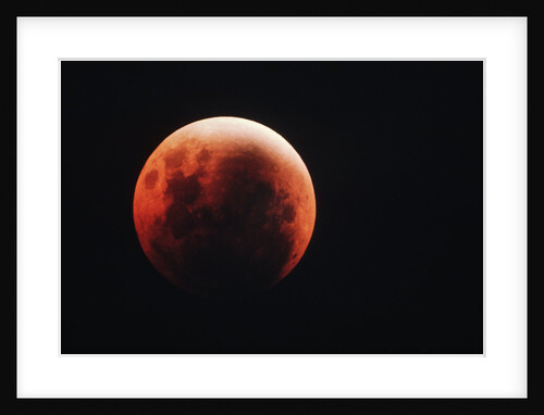 Lunar Eclipse by Anonymous