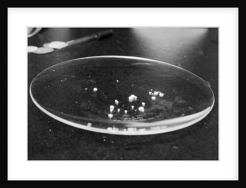 Crack Granules by Anonymous