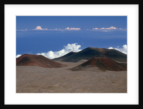 Cinder Cones on Summit of Mauna Kea by Anonymous
