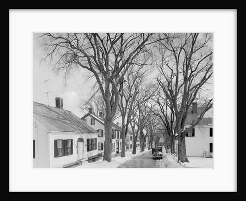 Neighborhood near Passamaquoddy Bay by Anonymous