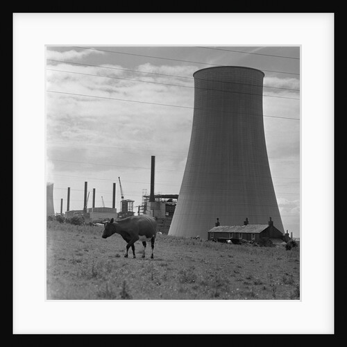 Smokestack and Nearby Pasture by Anonymous