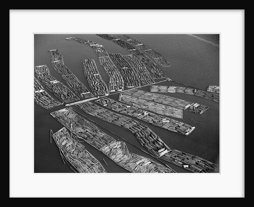 Rafts of Logs Await the Lumber Mill by Anonymous