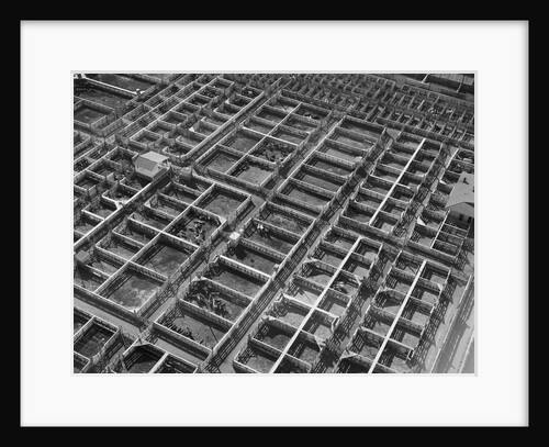 Fort Worth Stockyard by Anonymous