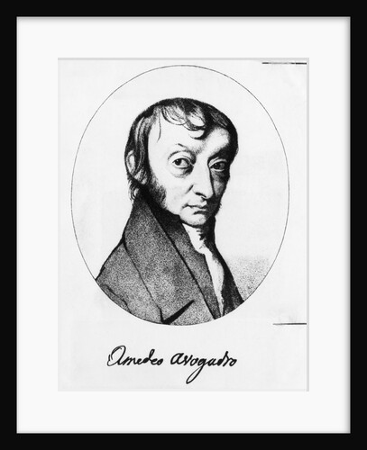 Portrait of Count Amedeo Avogadro by Anonymous