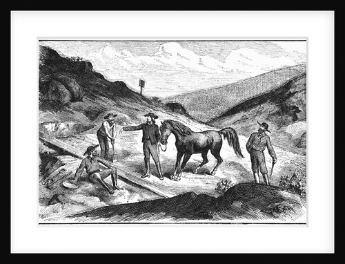 Henry T. P. Comstock Discovers Silver by Anonymous