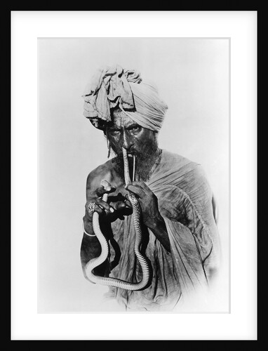 Indian Snake Charmer with Reptile up His Nose by Anonymous