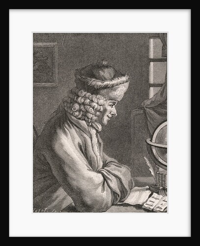 Portrait of Voltaire Reading by Anonymous