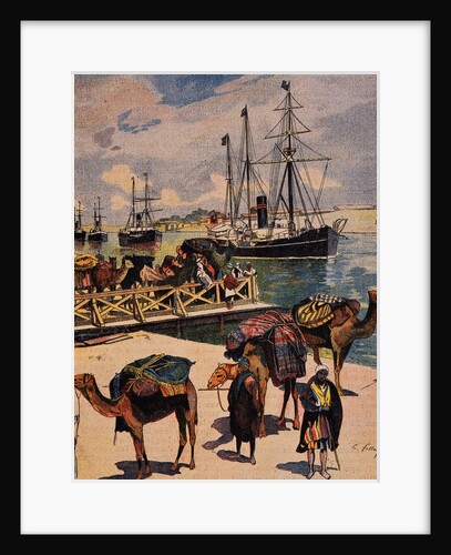 Camels Waiting at the Suez Canal by Anonymous