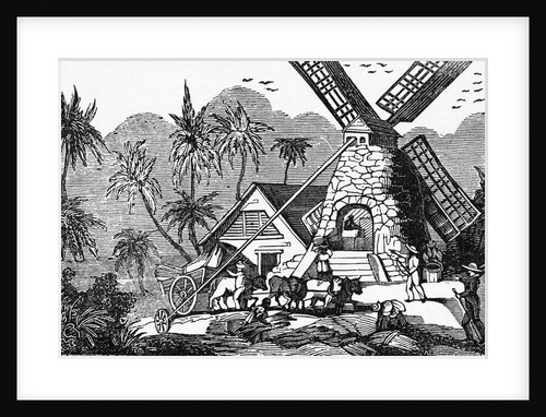 Illustration of Early Workers at West Indies Sugar Mill by Anonymous