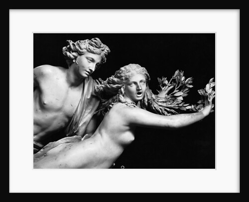 Bernini'S Sculpture Of Apollo & Daphne by Anonymous