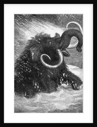 Mammoth by Anonymous