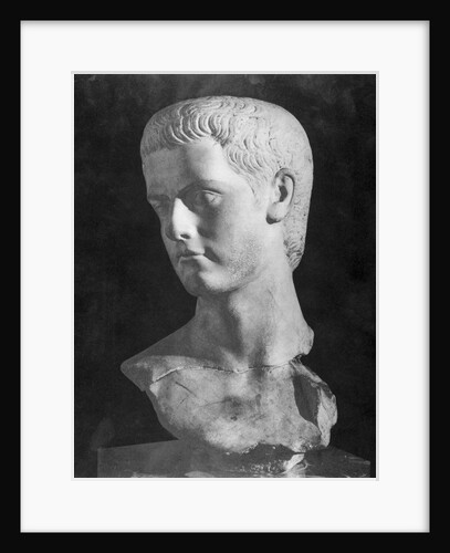 Bust of Roman Ruler Caligula by Anonymous