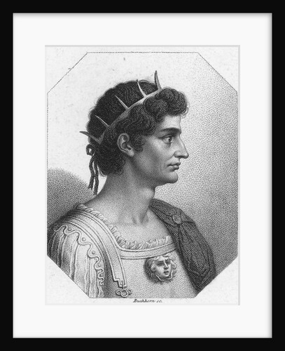 Profile Illustration of Augustus Caesar by Anonymous