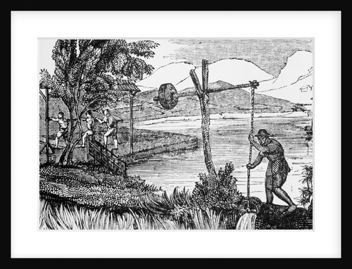 Man Watering Rice Crop by Anonymous