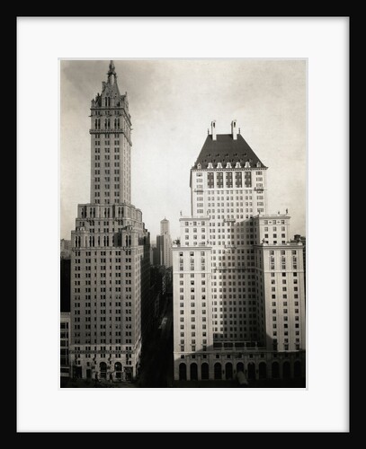 Sherry-Netherland Hotel in New York City by Anonymous