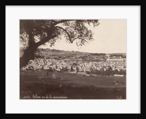 View of Hebron, Palestine by Anonymous