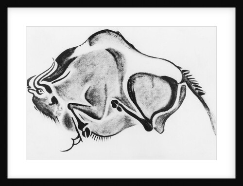 Prehistoric Drawing of a Bison by Anonymous