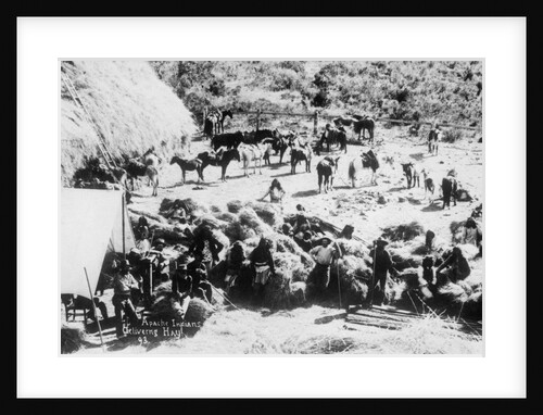 Apache Indians Delivering Hay by Anonymous