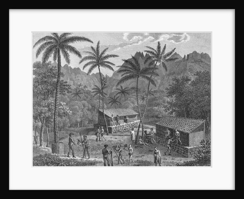 Drawing Depicting Dwellers on a Marquesas Island by Anonymous