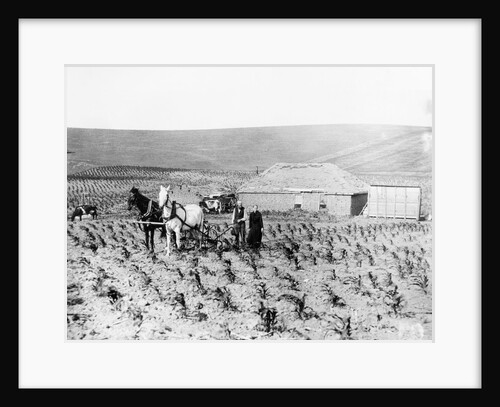 Man and Woman Farming by Anonymous