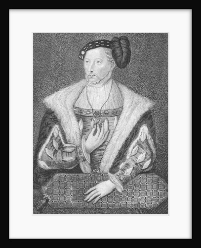 Portrait of James V, King of Scots by Anonymous