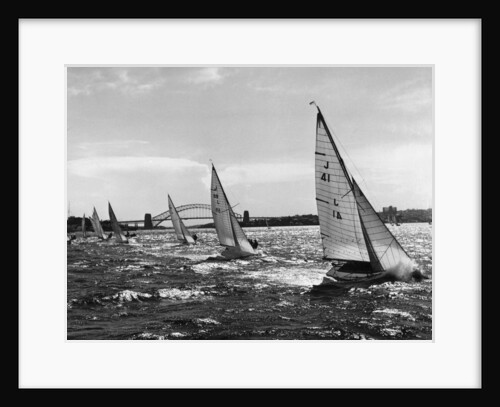 Small Boats Sailing on Sydney Harbor by Anonymous