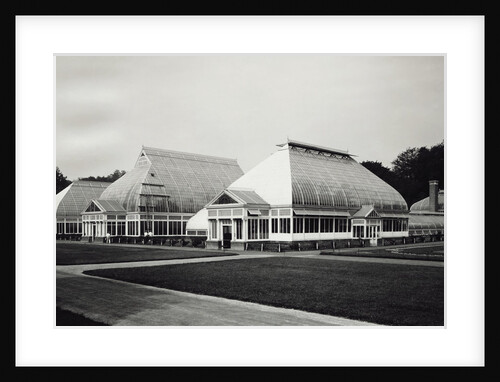 Greenhouses in Central Park by Anonymous