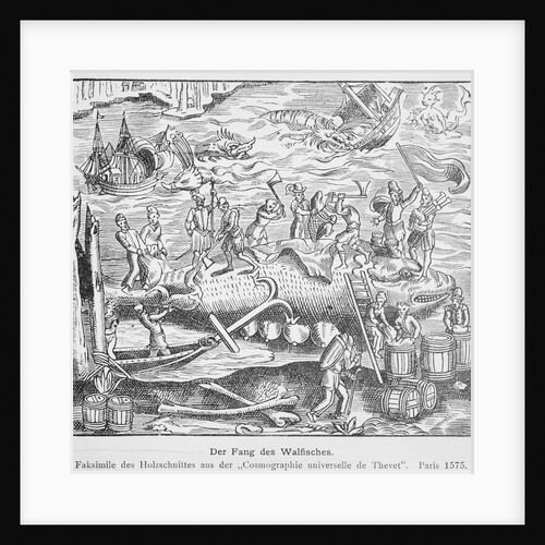 Der Fang des Walfisches. Illustration by Anonymous
